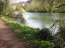 Peg 36 Pictures
